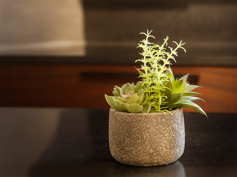 Artificial Flower - Succulent In Cement Pot Small